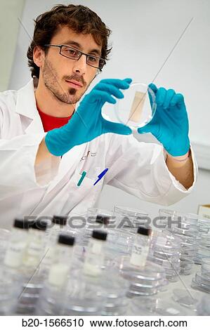 Stock Image - Samples of coatings of titanium dioxide photocatalytic, Research on building materials, Tecnalia Research & Innovation, Zamudio, Bizkaia, Basque Country, Spain. Fotosearch