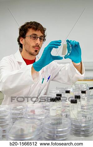 Samples of coatings of titanium dioxide photocatalytic, Research on building materials, Tecnalia Research & Innovation, Zamudio, Bizkaia, Basque Country, Spain View Large Photo Image Stock Image - Samples of coatings of titanium dioxide photocatalytic, Research on building materials, Tecnalia Research & Innovation, Zamudio, Bizkaia, Basque Country, Spain. Fotosearch