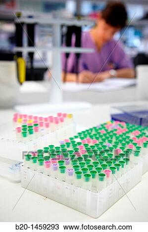 Stock Image - Samples, organizational use of color coding, Neuroscience lab, Research in neuromuscular disorders, neurodegenerative diseases, parkinson, dementia and multiple sclerosis, Biodonostia Health and Biomedicine Research Institute. Fotosearch