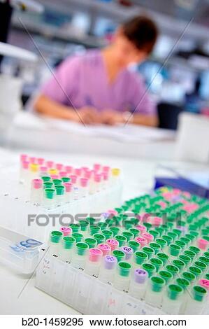 Samples, organizational use of color coding, Neuroscience lab, Research in neuromuscular disorders, neurodegenerative diseases, parkinson, dementia and multiple sclerosis, Biodonostia Health and Biomedicine Research Institute View Large Photo Image Stock Photography - Samples, organizational use of color coding, Neuroscience lab, Research in neuromuscular disorders, neurodegenerative diseases, parkinson, dementia and multiple sclerosis, Biodonostia Health and Biomedicine Research Institute. Fotosearch