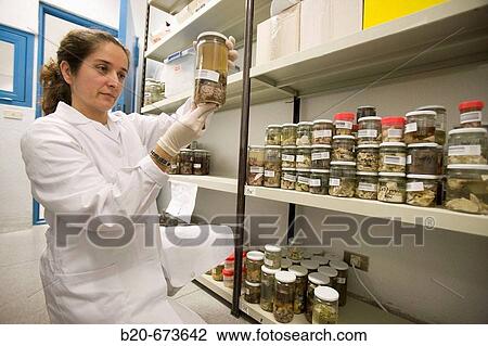 Samples preserved in formol, Laboratory of Pathological anatomy, Departamento de Producci? n y Sanidad Animal, Neiker Tecnalia, Instituto de Investigaci? n y Desarrollo Agrario, Ganadero, Forestal y del Medio Natural, Derio, Bizkaia, Euskadi, Spain View Large Photo Image Stock Image - Samples preserved in formol, Laboratory of Pathological anatomy, Departamento de Producci? n y Sanidad Animal, Neiker Tecnalia, Instituto de Investigaci? n y Desarrollo Agrario, Ganadero, Forestal y del Medio Natural, Derio, Bizkaia, Euskadi, Spain. Fotosearch