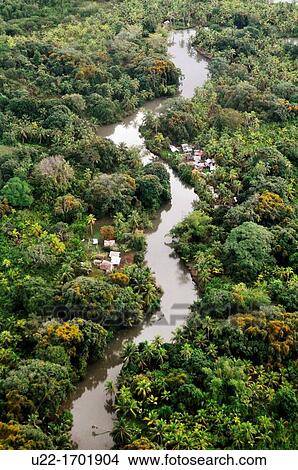 Picture - San BlBs Panama: aereal view of the jungle of Kuna Yala, in the region of San BlBs. Fotosearch