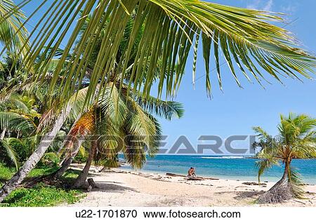 San BlBs Panama: palm trees of Diadup, little island of Kuna Yala View Large Photo Image Stock Image - San BlBs Panama: palm trees of Diadup, little island of Kuna Yala. Fotosearch