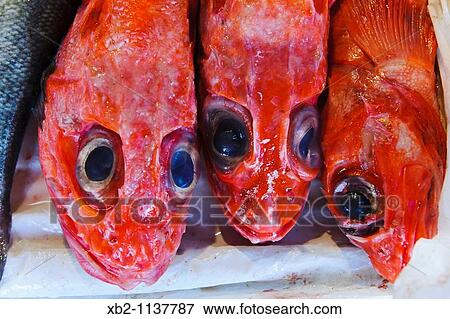 San Francisco, CA - Red fish in a market in Chinatown View Large Photo Image Stock Photo - San Francisco, CA - Red fish in a market in Chinatown. Fotosearch