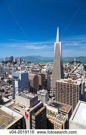 San Francisco skyline with Transamerica Pyramid, California, USA View Large Photo Image Stock Photograph - San Francisco skyline with Transamerica Pyramid, California, USA. Fotosearch