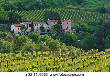 San Gimignano, Vineyards, Tuscany, Italy, Siena Province, UNESCO World Heritage Site View Large Photo Image Stock Image - San Gimignano, Vineyards, Tuscany, Italy, Siena Province, UNESCO World Heritage Site. Fotosearch