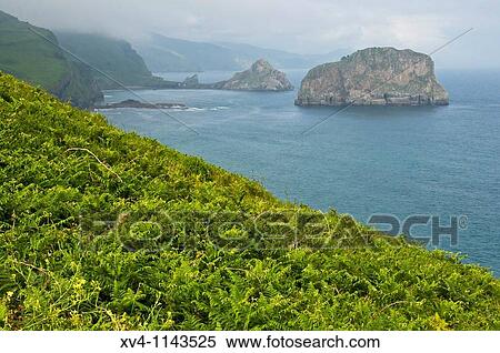 San Juan de Gaztelugatxe views Bermeo coast Urdaibai Biosphere Reserve of Biscay, Basque Country Spain Europe View Large Photo Image Stock Photography - San Juan de Gaztelugatxe views Bermeo coast Urdaibai Biosphere Reserve of Biscay, Basque Country Spain Europe. Fotosearch