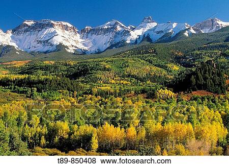 San Juan Mountains Fall colors and alpenglow on Mt Sneffels View Large Photo Image Stock Photo - San Juan Mountains Fall colors and alpenglow on Mt Sneffels. Fotosearch