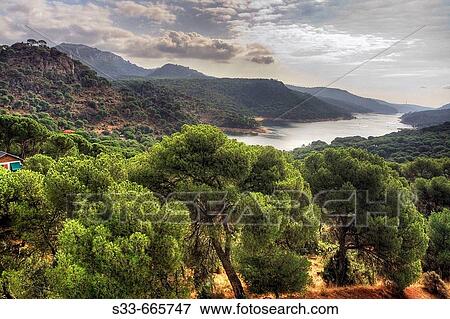 San Juan reservoir. Cerro Almod? n. San Mart? n de Valdeiglesias. Madrid. Spain. View Large Photo Image Stock Photo - San Juan reservoir. Cerro Almod? n. San Mart? n de Valdeiglesias. Madrid. Spain.. Fotosearch