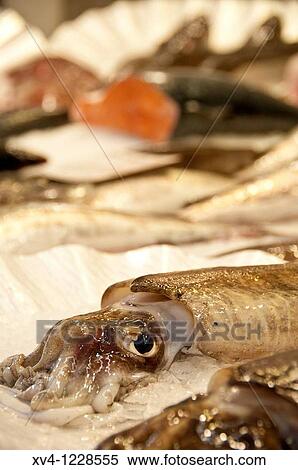 San Sebastian fish Market Historic centre Guipuzcoa Basque Country Spain Europe View Large Photo Image Stock Photography - San Sebastian fish Market Historic centre Guipuzcoa Basque Country Spain Europe. Fotosearch