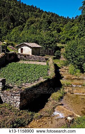 San Zadornil orchard Natural Park of San Zadornil and Forestry Obarenes Burgos Castilla y Le? n Spain View Large Photo Image Stock Image - San Zadornil orchard Natural Park of San Zadornil and Forestry Obarenes Burgos Castilla y Le? n Spain. Fotosearch