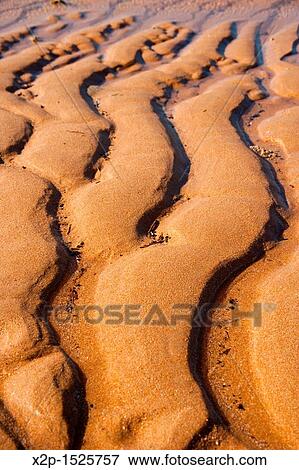 Sand detail in Andalusia, Spain View Large Photo Image Stock Photo - Sand detail in Andalusia, Spain. Fotosearch