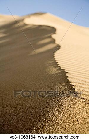 Picture - Sand dune, Fuerteventura. Fotosearch