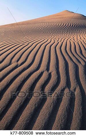 Sand Dune in the Great Sand Dunes National Park. Colorado, USA. View Large Photo Image Stock Photo - Sand Dune in the Great Sand Dunes National Park. Colorado, USA.. Fotosearch