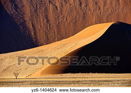 Sand dune near Sossusvlei, Namib-Naukluft National Park, Namibia View Large Photo Image Picture - Sand dune near Sossusvlei, Namib-Naukluft National Park, Namibia. Fotosearch