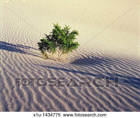 Stock Photography - Sand Dune X. Fotosearch