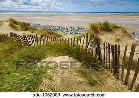 Sand dunes at Northam Burrows on the South West Coast Path near Westward Ho! in Devon, England View Large Photo Image Stock Photo - Sand dunes at Northam Burrows on the South West Coast Path near Westward Ho! in Devon, England. Fotosearch