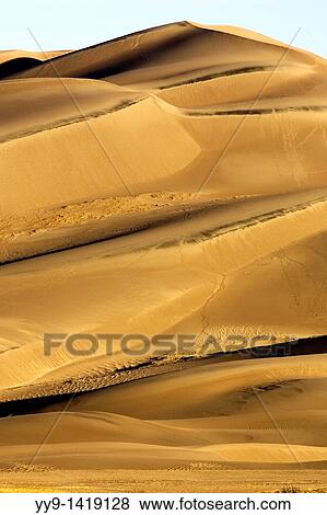 Sand dunes in early morning light - Great Sand Dunes National Park and Preserve - near Mosca, Colorado View Large Photo Image Stock Photo - Sand dunes in early morning light - Great Sand Dunes National Park and Preserve - near Mosca, Colorado. Fotosearch