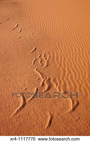 Stock Image - Sand Dunes in Idehan Murzuq, Idehan Murzuq, Ghat, Libia. Fotosearch