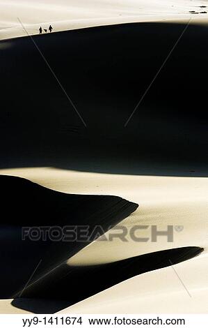 Picture - Sand Dunes - Oregon Dunes National Recreation Area - Reedsport, Oregon. Fotosearch