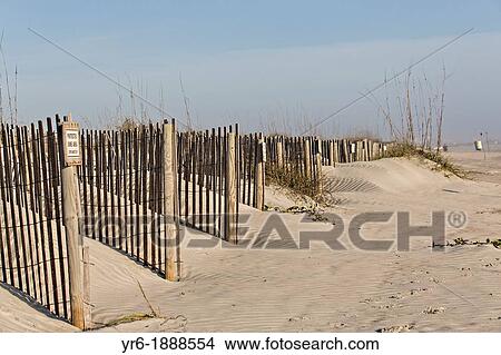 Sand fence to rebuild the dunes on St Augustine Beach, Florida View Large Photo Image Picture - Sand fence to rebuild the dunes on St Augustine Beach, Florida. Fotosearch