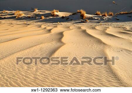 sanddune of Erg Tihodaine, Wilaya Tamanrasset, Algeria, Sahara, North Africa View Large Photo Image Stock Image - sanddune of Erg Tihodaine, Wilaya Tamanrasset, Algeria, Sahara, North Africa. Fotosearch