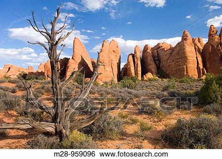 Stock Photograph - Sandstone fins, Arches National Park Utah USA. Fotosearch