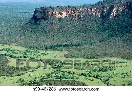 Sandstones cliffs primeval dry forest and open grassland. Chapada do Guimaraes National Park. Mato Grosso. Brazil. View Large Photo Image Stock Photography - Sandstones cliffs primeval dry forest and open grassland. Chapada do Guimaraes National Park. Mato Grosso. Brazil.. Fotosearch