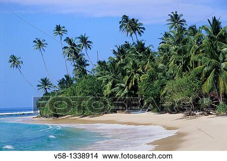 Picture - Sandy beach, Unawatuna region, Sri Lanka.. Fotosearch