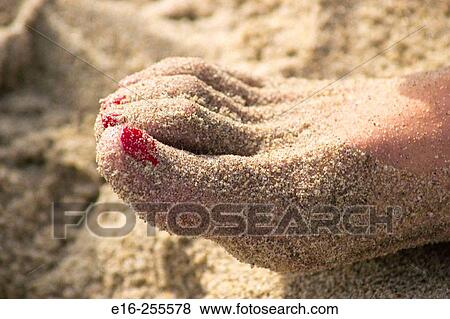 sandy foot View Large Photo Image Stock Photo - sandy foot. Fotosearch