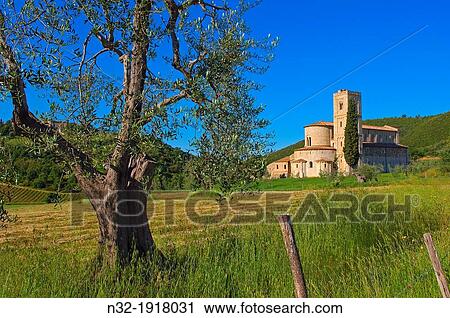 Sant Antimo, Montalcino, Castelnuovo dell? abate, Tuscany landscape, Siena Province, Tuscany, Italy View Large Photo Image Stock Image - Sant Antimo, Montalcino, Castelnuovo dell? abate, Tuscany landscape, Siena Province, Tuscany, Italy. Fotosearch