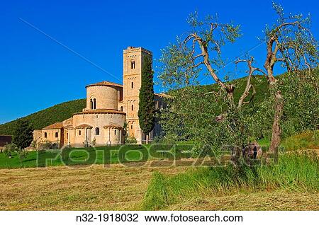 Sant Antimo, Montalcino, Castelnuovo dell? abate, Tuscany landscape, Siena Province, Tuscany, Italy View Large Photo Image Stock Image - Sant Antimo, Montalcino, Castelnuovo dell? abate, Tuscany landscape, Siena Province, Tuscany, Italy. Fotosearch