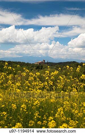 Picture - Sant Feliuet d? Ol?, Santa Maria d? Ol?, Bages, Catalonia, Spain. Fotosearch