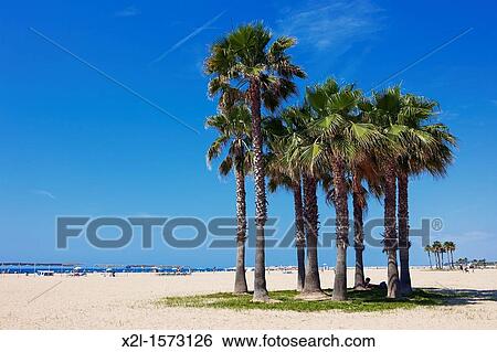 Sant Salvador beach El Vendrell, Catalonia, Spain View Large Photo Image Stock Photograph - Sant Salvador beach El Vendrell, Catalonia, Spain. Fotosearch