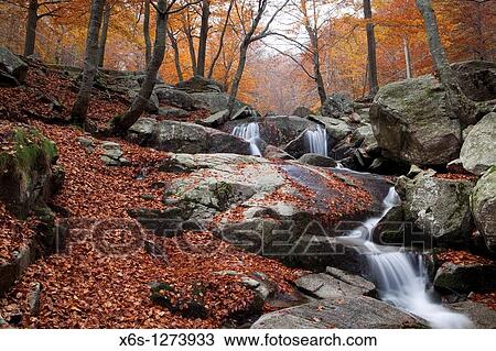 Santa Fe lake, Natural Park of Montseny, Barcelona, Spain View Large Photo Image Stock Image - Santa Fe lake, Natural Park of Montseny, Barcelona, Spain. Fotosearch