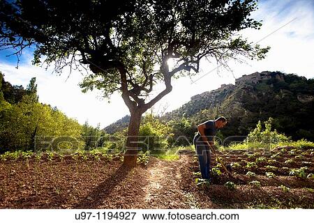 Stock Photo - Santa Maria d? Ol?, Bages, Catalunya, Spain. Fotosearch