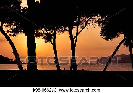 Santa Ponsa, Calvia. Majorca, Balearic Islands, Spain View Large Photo Image Stock Image - Santa Ponsa, Calvia. Majorca, Balearic Islands, Spain. Fotosearch