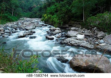 Santo Domingo River, Barinas, Venezuela View Large Photo Image Picture - Santo Domingo River, Barinas, Venezuela. Fotosearch