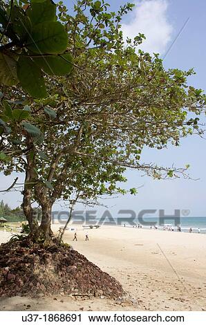 Stock Image - Sanya Bay, Hainan Island, China.. Fotosearch