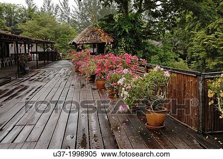 Sarawak Cultural Village also named as Sarawak Living Museum. View Large Photo Image Stock Photography - Sarawak Cultural Village also named as Sarawak Living Museum.. Fotosearch