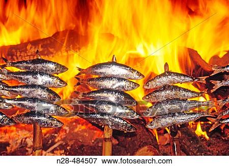 Sardines. Andalucia. Spain. View Large Photo Image Stock Photo - Sardines. Andalucia. Spain.. Fotosearch