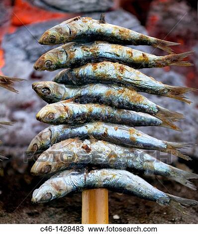 Sardines in skewer, Pedregalejo beach, MBlaga, Spain View Large Photo Image Stock Image - Sardines in skewer, Pedregalejo beach, MBlaga, Spain. Fotosearch