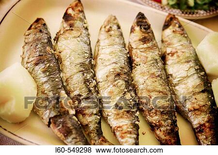 Sardines. Lisbon. Portugal. View Large Photo Image Stock Photo - Sardines. Lisbon. Portugal.. Fotosearch