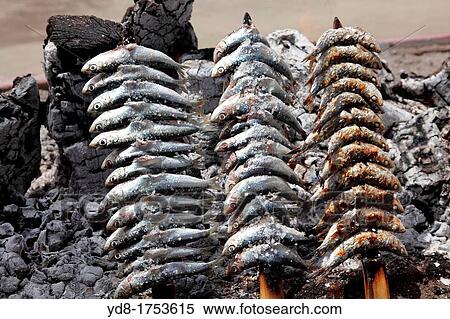 Sardines ready to be grilled, Malaga, Andalucia, Spain View Large Photo Image Stock Photography - Sardines ready to be grilled, Malaga, Andalucia, Spain. Fotosearch
