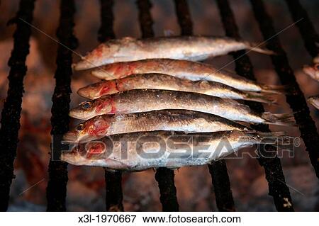 Sardines. Typical gastronomy of Basque Country. Spain. View Large Photo Image Stock Photo - Sardines. Typical gastronomy of Basque Country. Spain.. Fotosearch