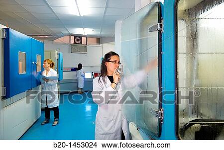 Picture - Saturation chamber to measure aging due to temperature and humidity, Technology Research Center, Tecnalia Construction, CIDEMCO-Tecnalia Research & Innovation, development of new products and innovative solutions through research and innovation. Fotosearch
