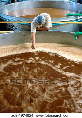 sauza cellar Fermentation tanks. View Large Photo Image Picture - sauza cellar Fermentation tanks.. Fotosearch