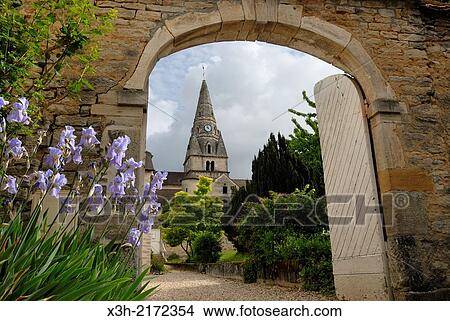 Picture - Savigny-les-Beaune, Cote-d Or department, Burgundy region, France, Europe.. Fotosearch