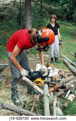 Sawing by Chainsaw. Sweden View Large Photo Image Stock Photo - Sawing by Chainsaw. Sweden. Fotosearch