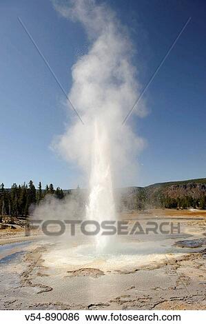 Sawmill Geyser, Yellowstone National Park, Wyoming, USA View Large Photo Image Stock Photograph - Sawmill Geyser, Yellowstone National Park, Wyoming, USA. Fotosearch